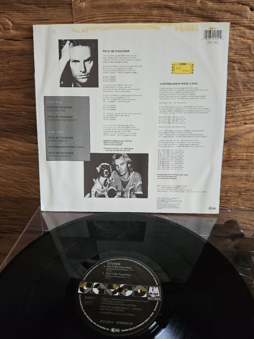 Dischi in vinile: Vinyl Schallplatte Sting - We'll Be Together – Usato da Bertschikon Gossau venduto da simla09 2