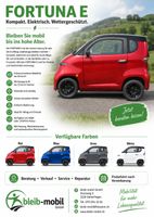 FORTUNA E, Kabinenroller, Kabinenmobil, Kabinenscooter