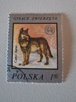 Briefmarke Polen Wolf Canis lupus Wilks 100