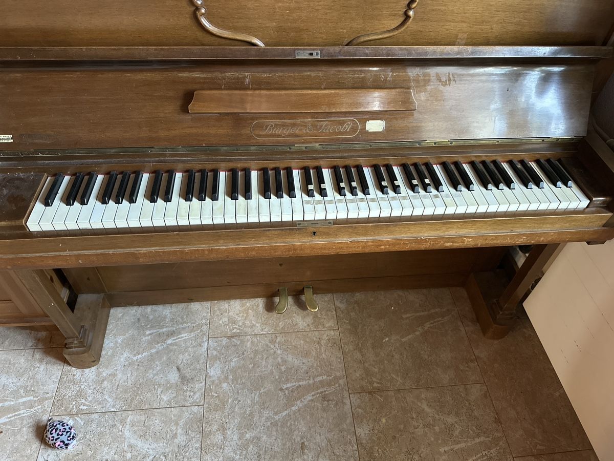 Strumenti musicali: Klavier Burger und Jacobi – Usato da Möhlin venduto da lisisa01 1