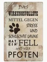 NEUES cooles Metall Schild Katzen 30 x 20 cm - 224274