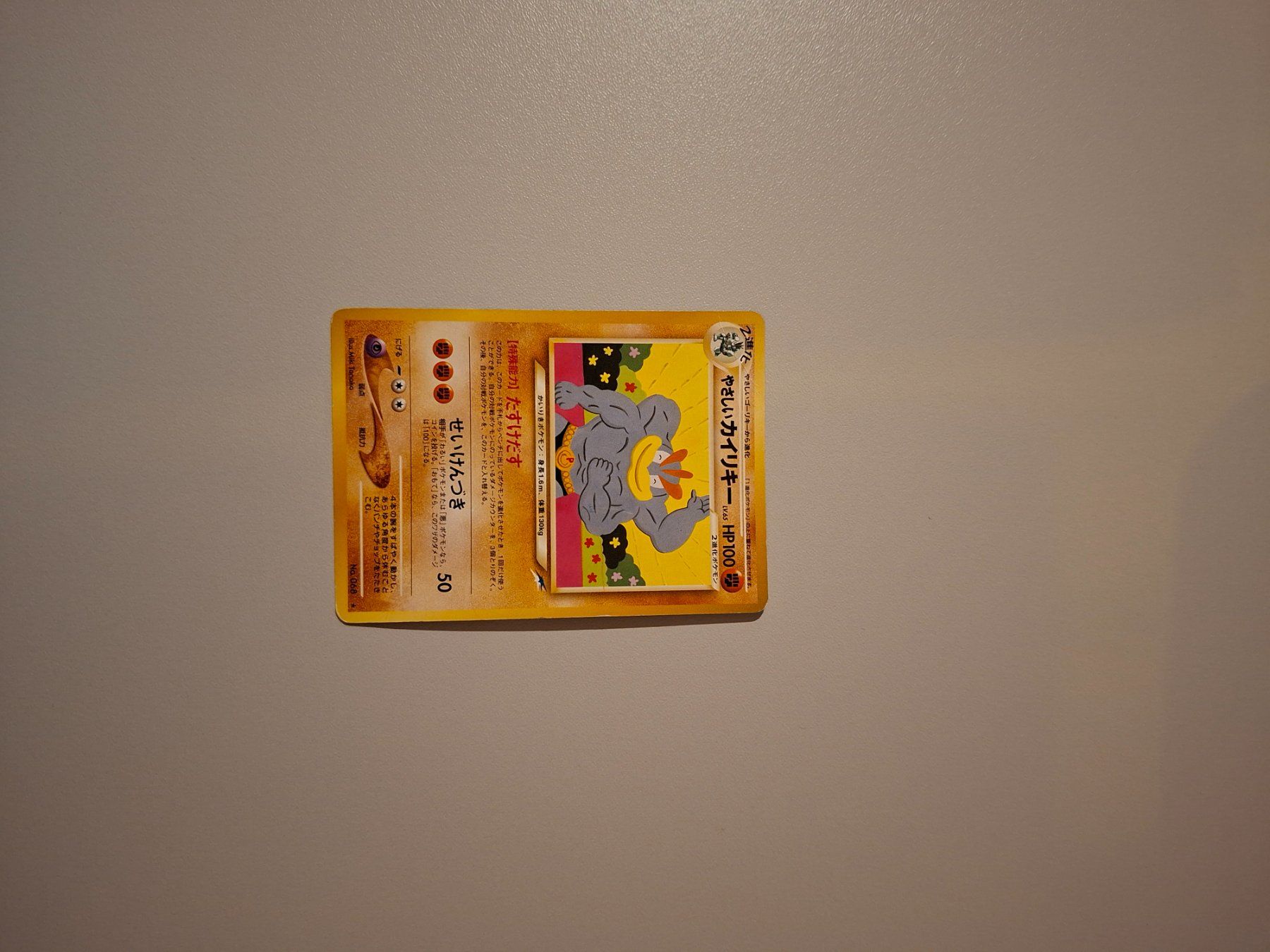 Pokémon Carte collezionabili: Pokemonkarten "Kindheitssammlung" – Usato da Glarus venduto da salzwasserfisch 2