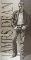 Blechschild-JAMES DEAN-THE REBEL
