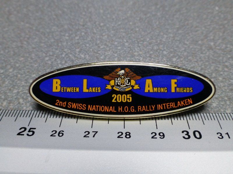 Placchette & Badge: PIN PINS HARLEY DAVIDSON HOG ABZEICHEN CHAPTER V-TWIN – Usato da Gränichen venduto da Jumbo77