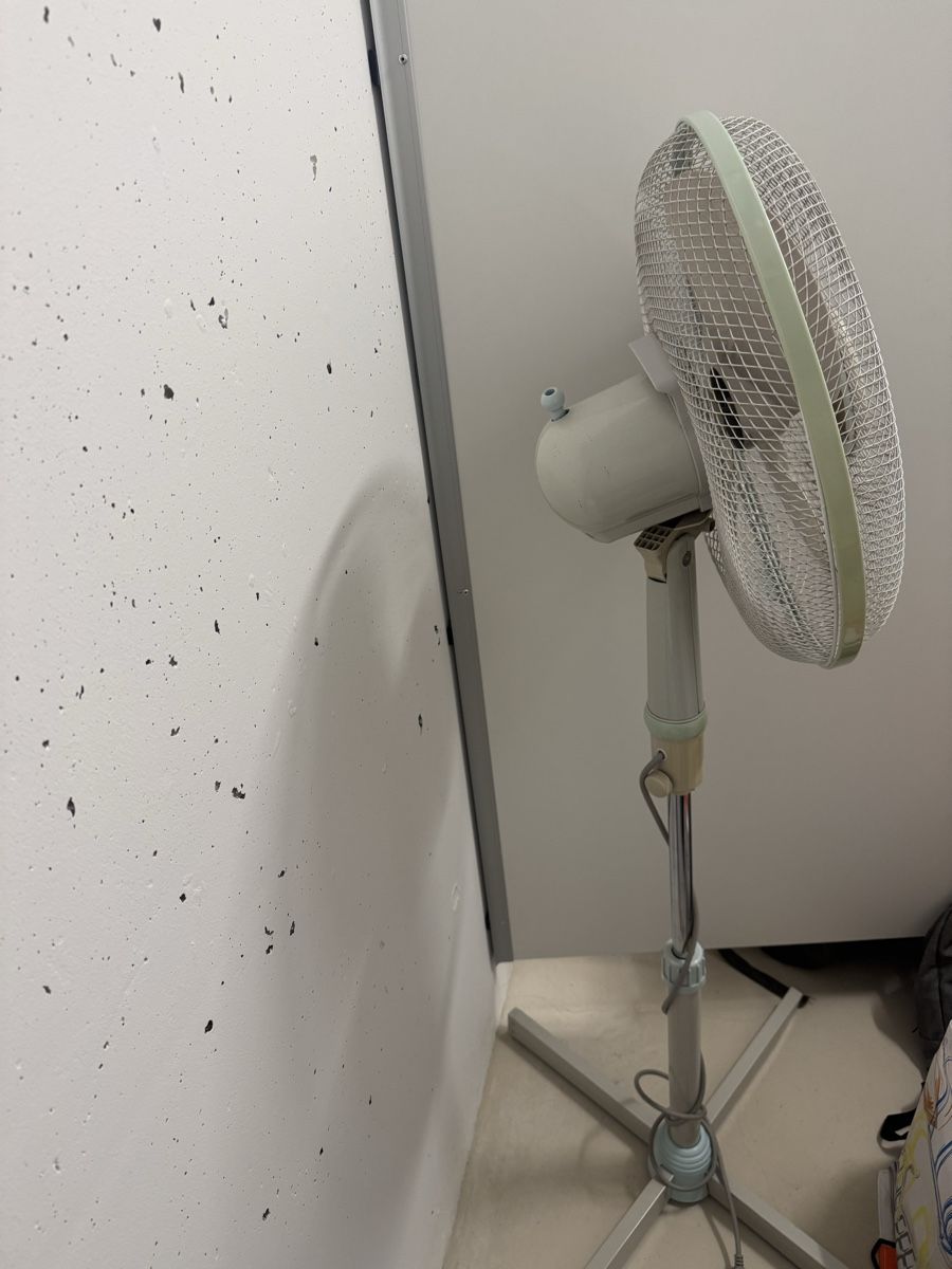 Ventilatori: Ventilatore – Usato da Pregassona venduto da ric_6qpk