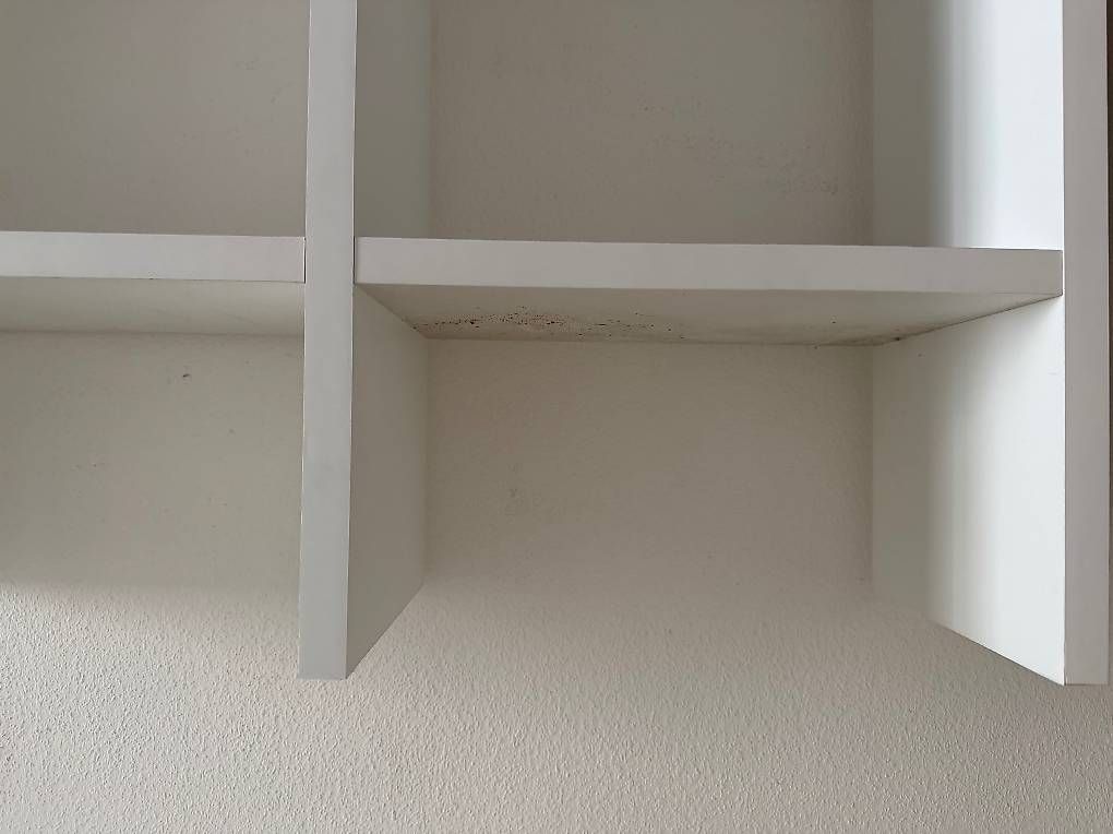 Étagères: Bibliothèque Billy ikea – D'occasion à Preverenges par mih_vqg5 2