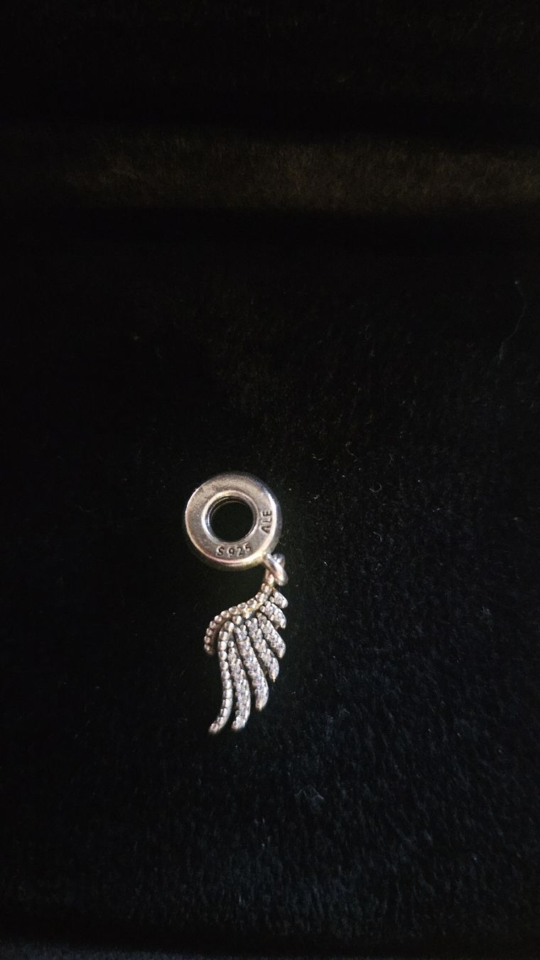 Pandora Pendentifs: Pandora Angel Wing Charm – Neuf (Voir description) à Bern par chiaramerchi 1
