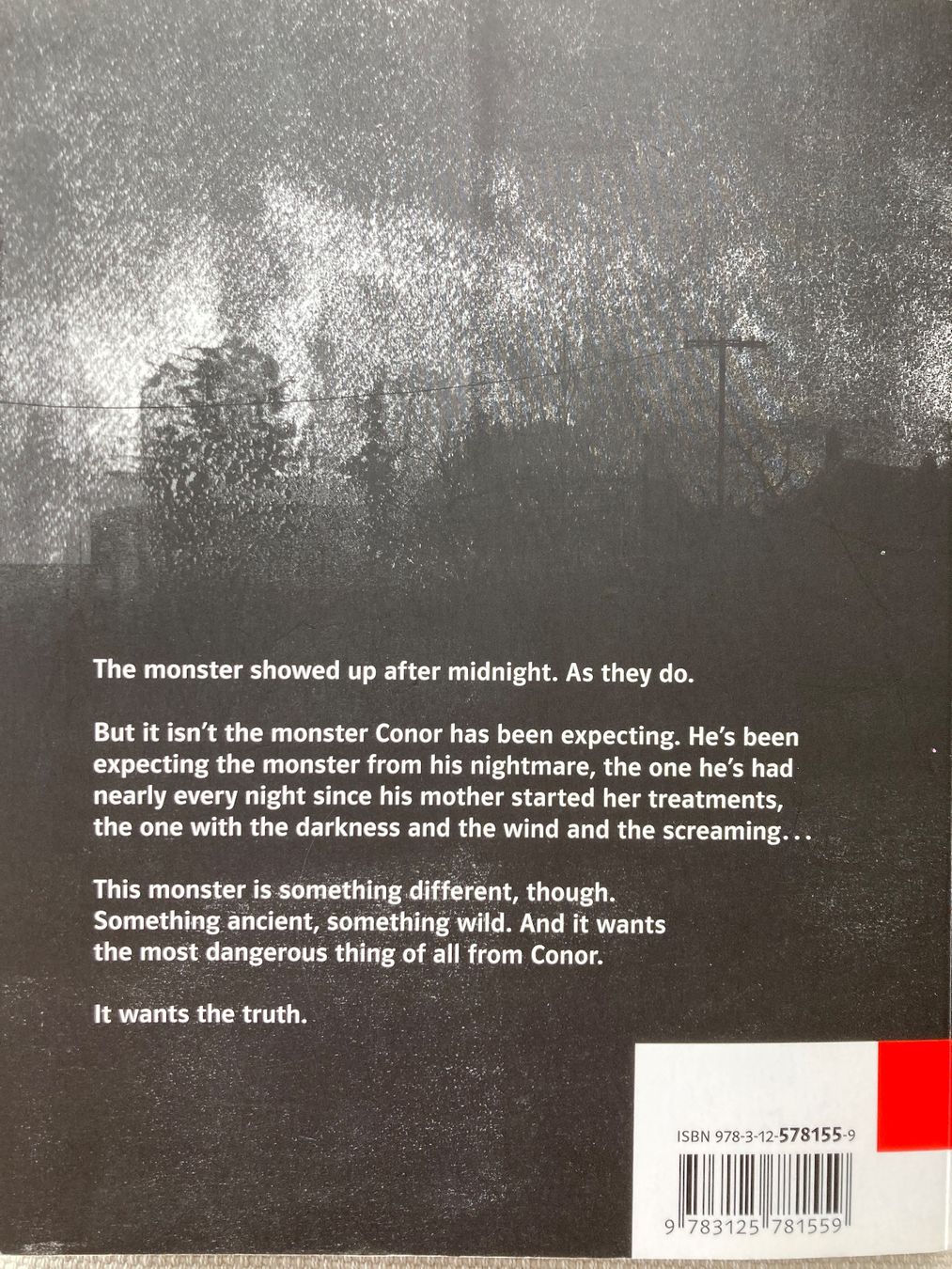 Libri: Patrick Ness, A Monster Calls (english) – Usato da Baden venduto da Yoyo1 1