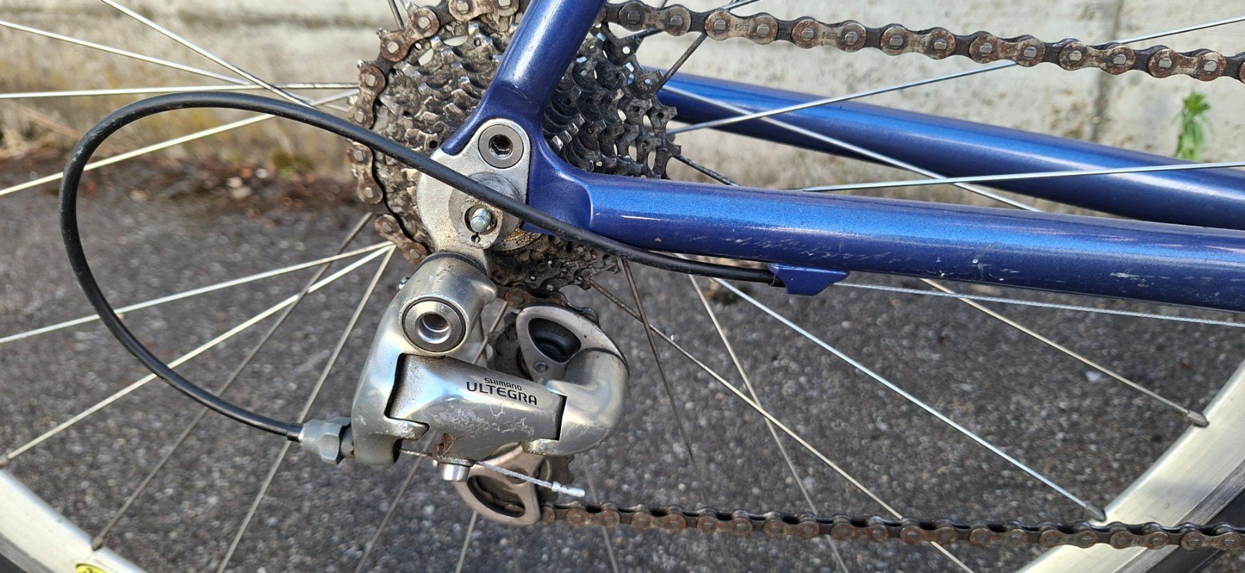 Biciclette: Rennvelo  Alegra – Usato da Kloten venduto da Ros73 4