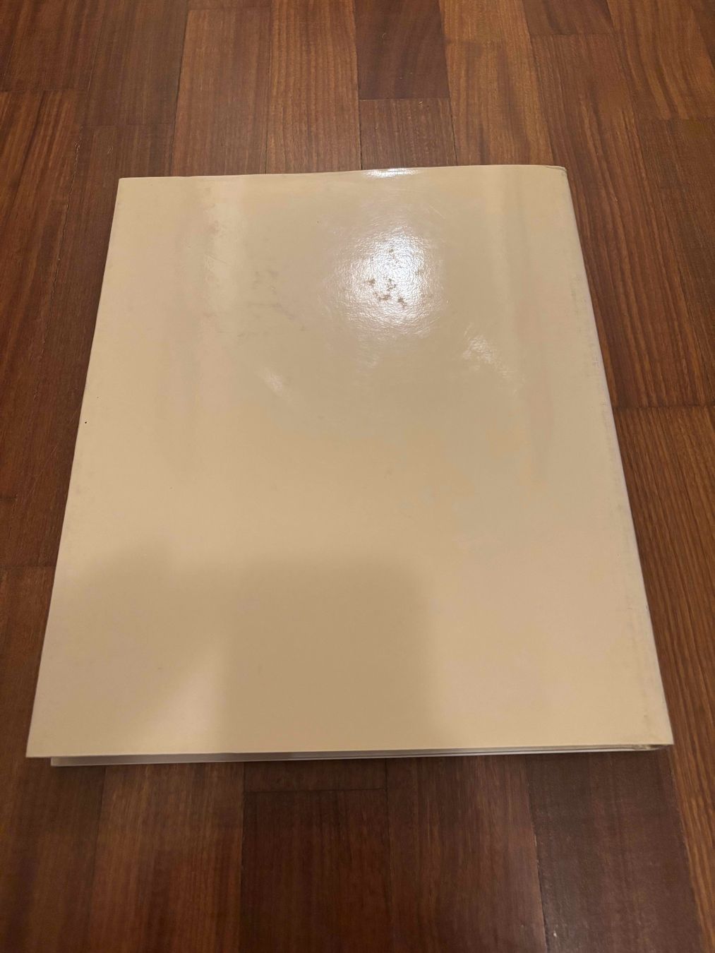 Libri: Pittori modenesi dell'Ottocento – Usato da Lugano venduto da Mark_Young 3