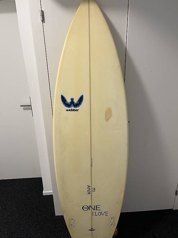 Tavole da surf e di nuoto: surfboard – Usato da St. Gallen venduto da kuh_t9bc 4