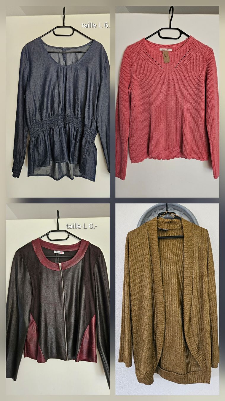 Lotti di vestiti: Lot taille L, 12 pces – Usato da Vétroz venduto da sas_yln5 1