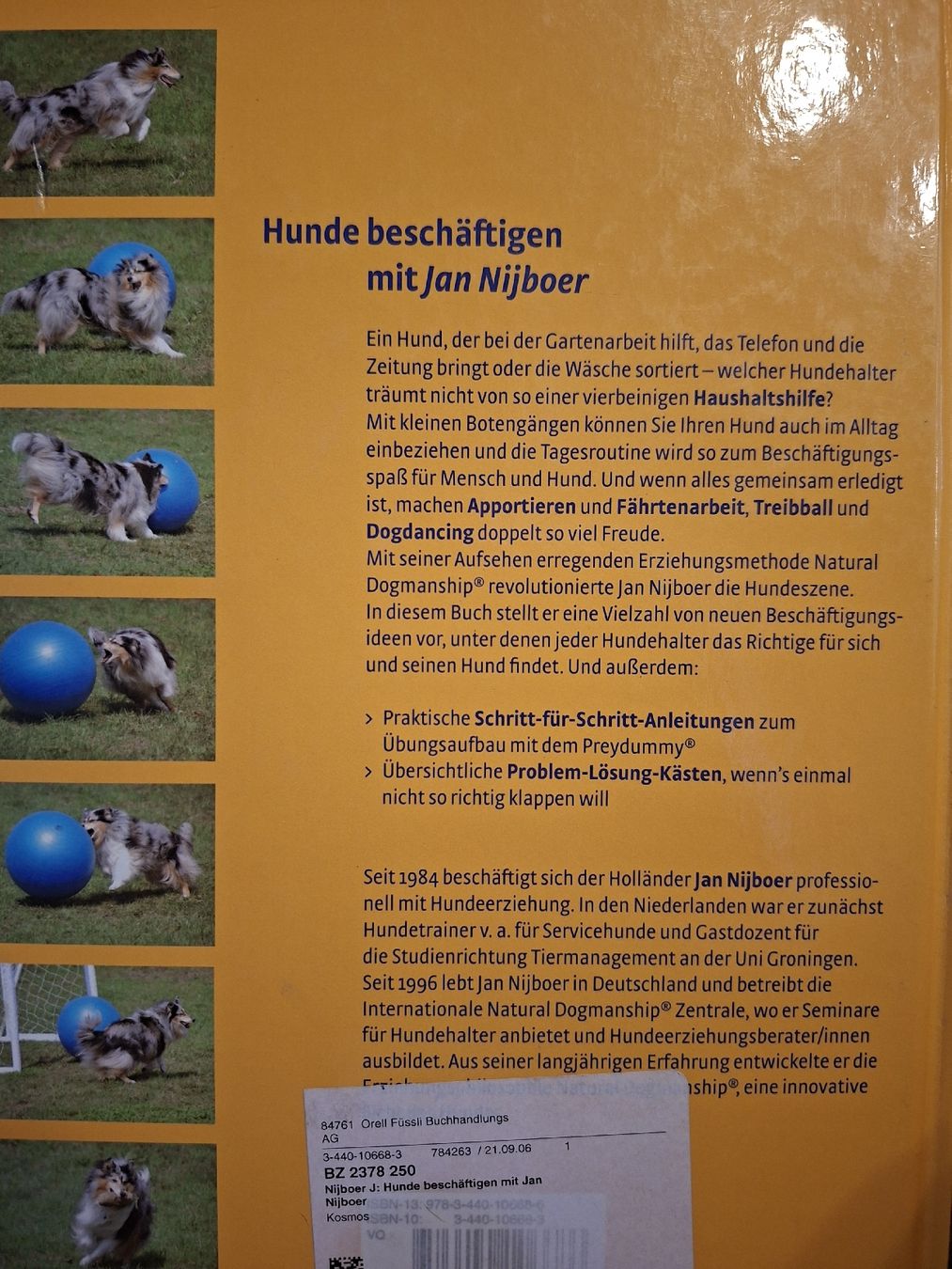 Libri: Hunde beschäftigen – Usato da Teufen AR venduto da nad_55nm 2