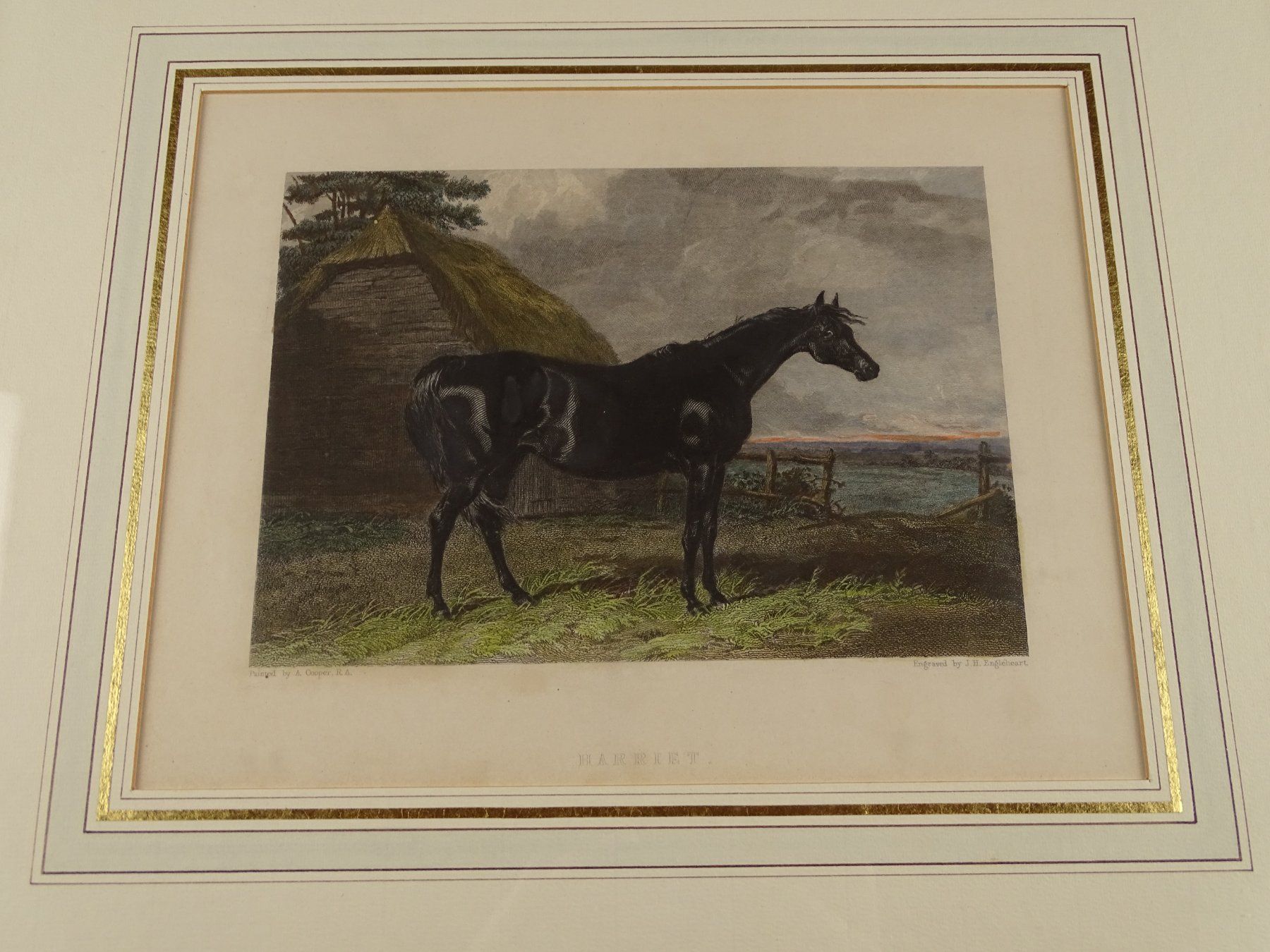 Stiche: RENNPFERD AUF WEIDE, STAHLSTICH UM 1850 – Gebraucht aus Grüningen von Kartensammler 1