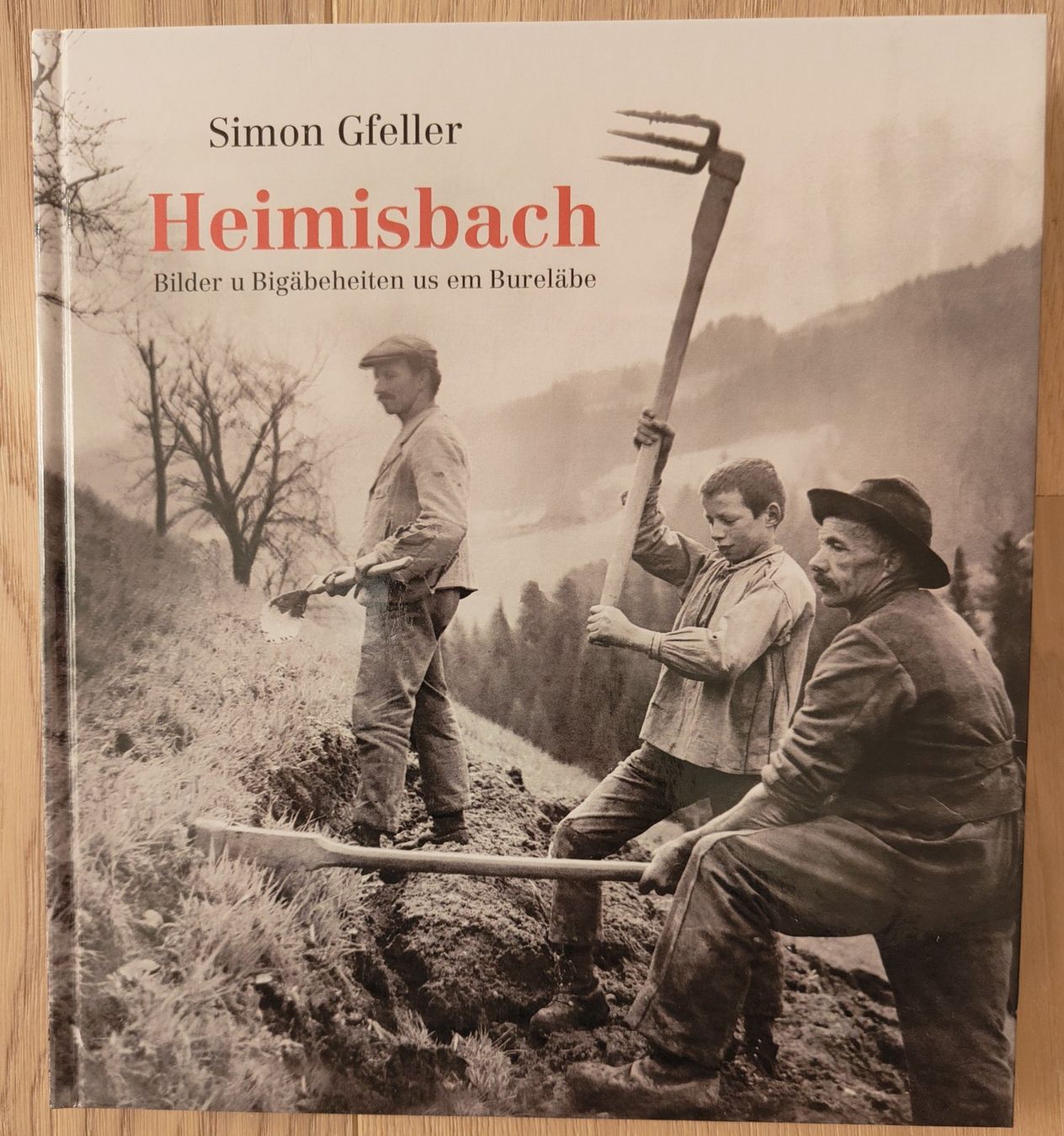 Libri: Heimisbach – Usato da Sigriswil venduto da Ricola1977