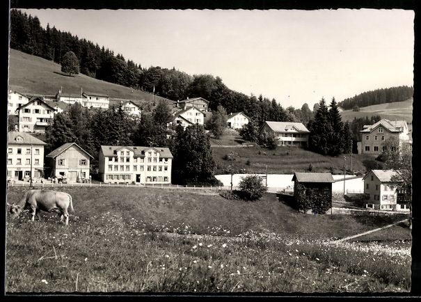Ansichtskarten: Waldstatt /AR, Erholungsheim Sonnenhalde – Gebraucht aus Berlin von bartko-reher