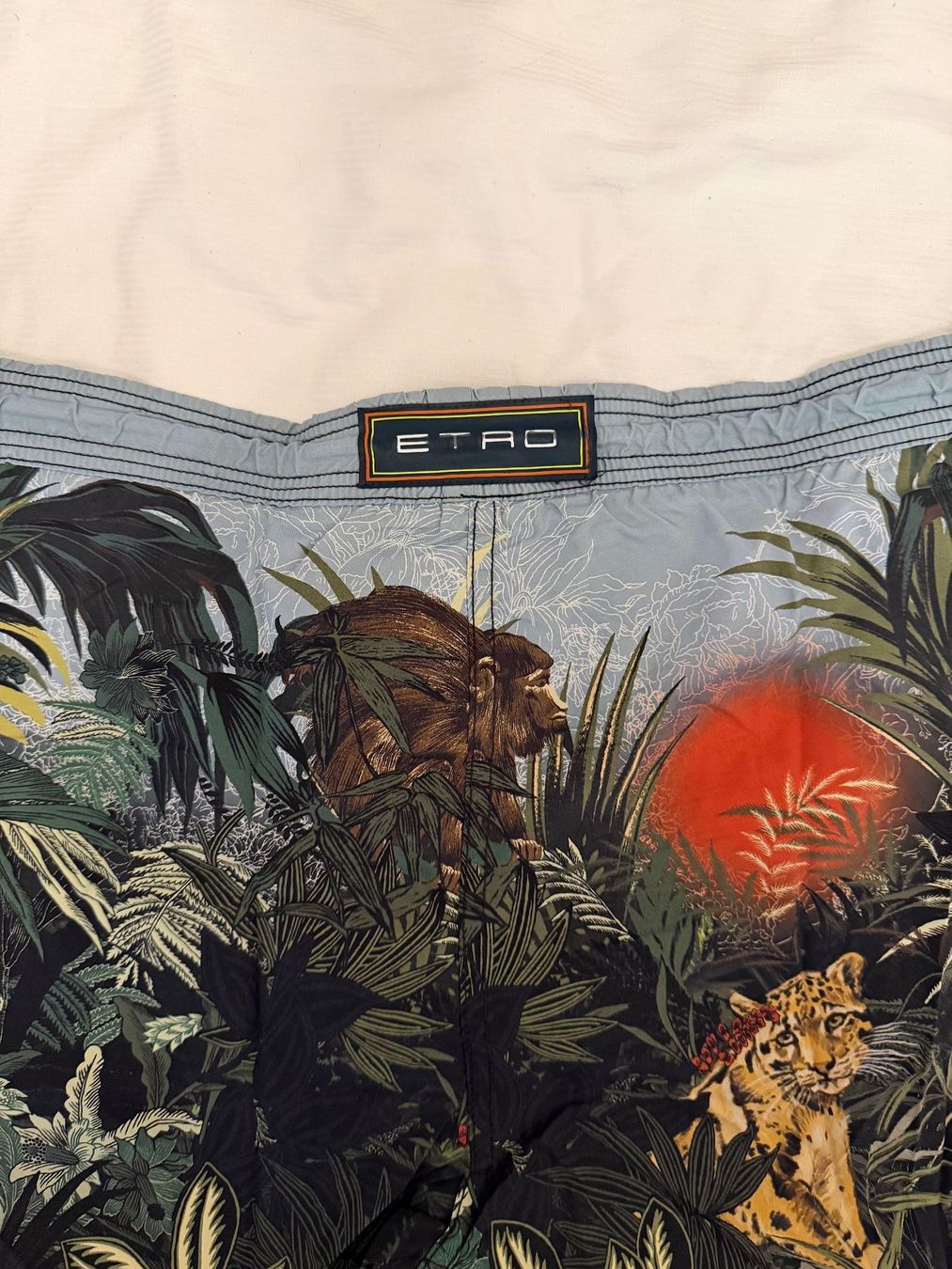 Badehosen: ETRO Badehose Herren - Grösse L – Gebraucht aus Zürich von Ensonador 3
