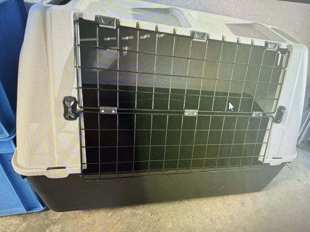 Gabbie, trasporto & Sicurezza: Hundebox zu verkaufen – Usato da Rüti ZH venduto da sab_ysl5