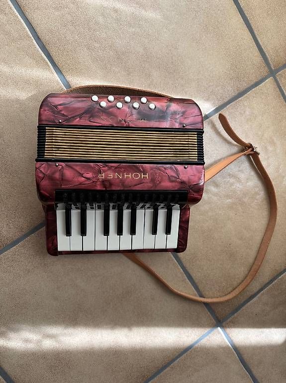 Strumenti musicali: Handorgel – Usato da Fischbach-Göslikon venduto da Ch-Hu 3