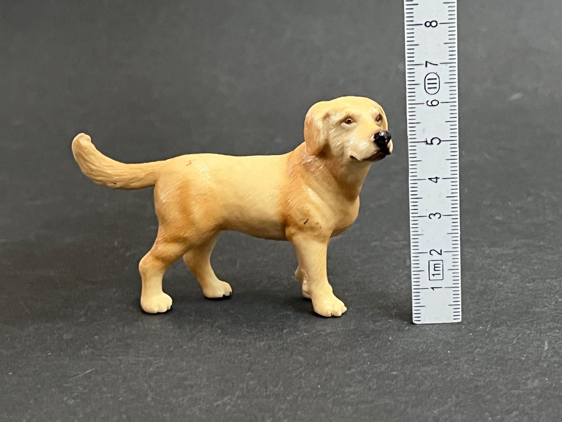 Schleich Figuren: Schleich 16329 - Labrador gelb Hund – Gebraucht aus Ennetbaden von mapa05 1