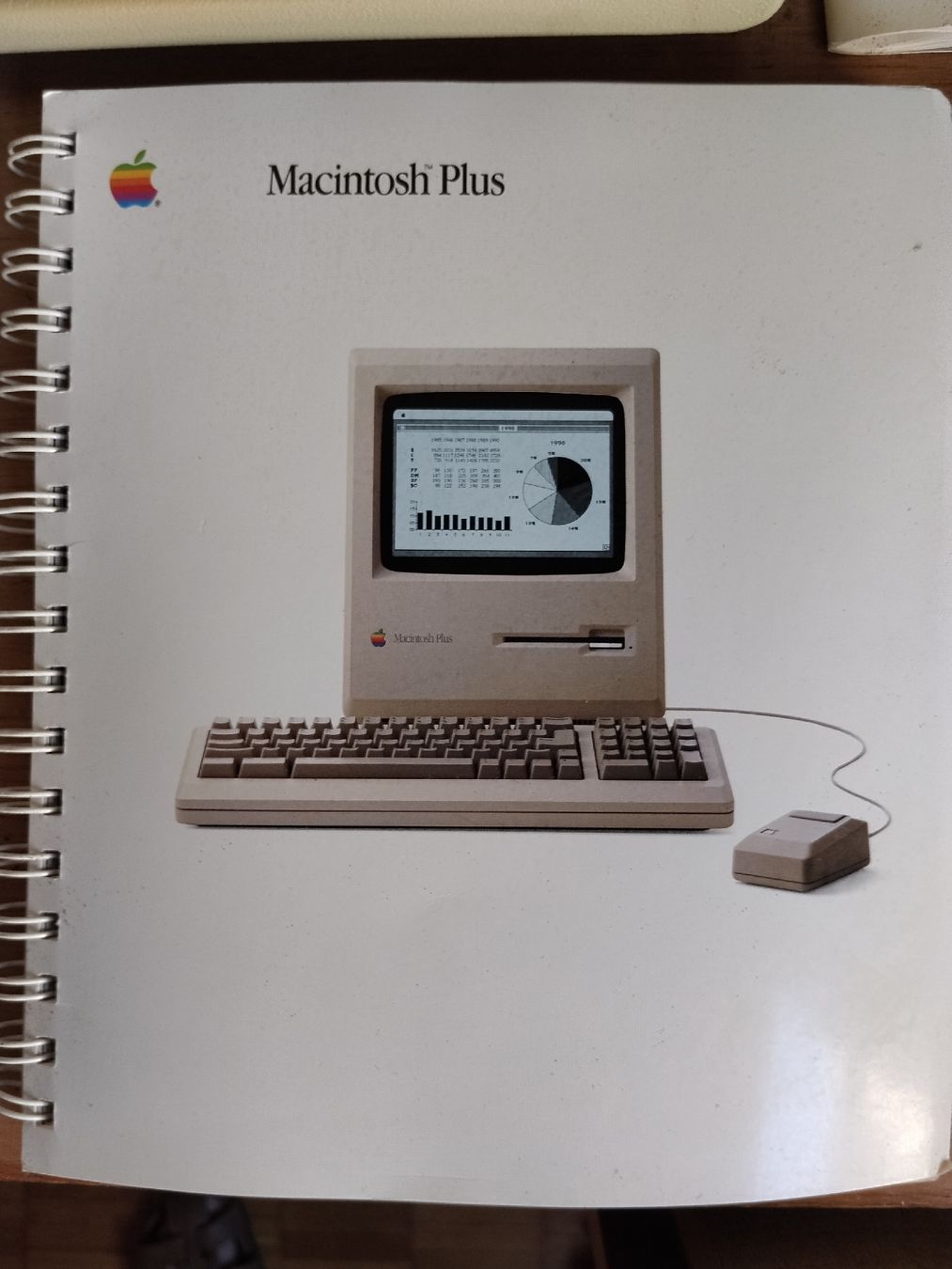 Apple PCs: Apple Macintosh Plus Computer Completo con Accessori – D'occasion à Locarno par gpi_d7gw 3