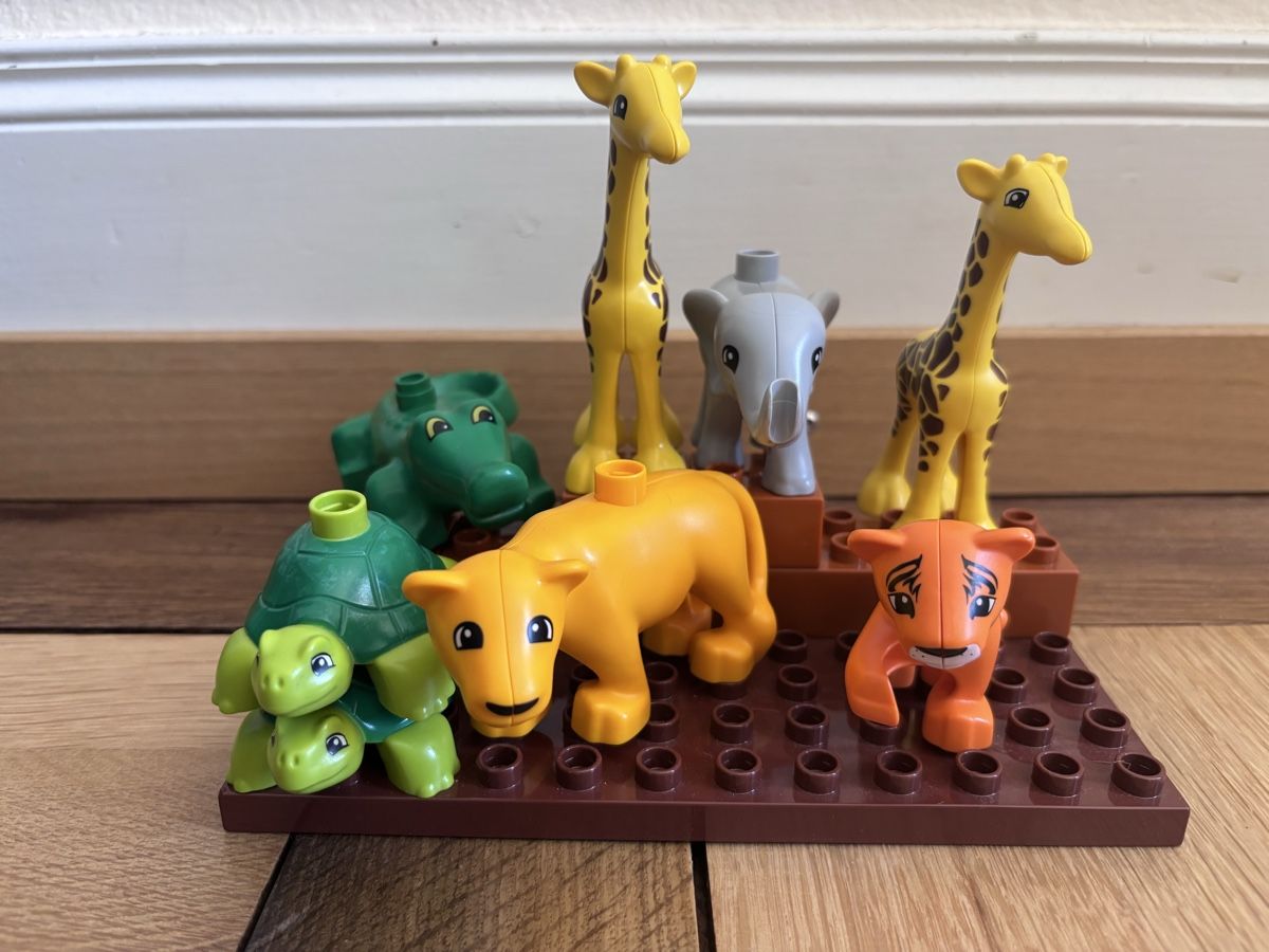 Lego Giocattoli: Lot Duplo – Usato da La Neuveville venduto da clo_p89h 2