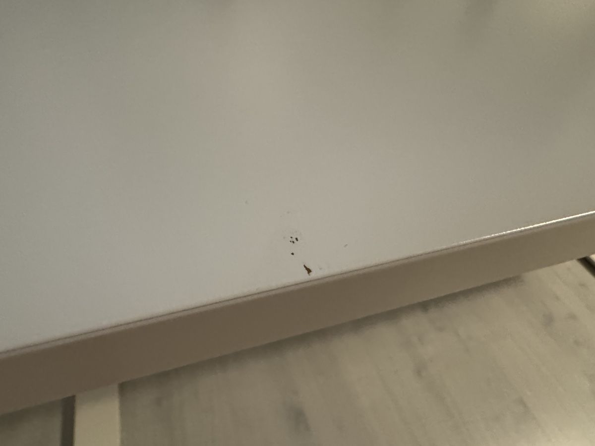 Scrivanie: Stehpult 160 x 80 – Usato da Oberbuchsiten venduto da Roempe 3
