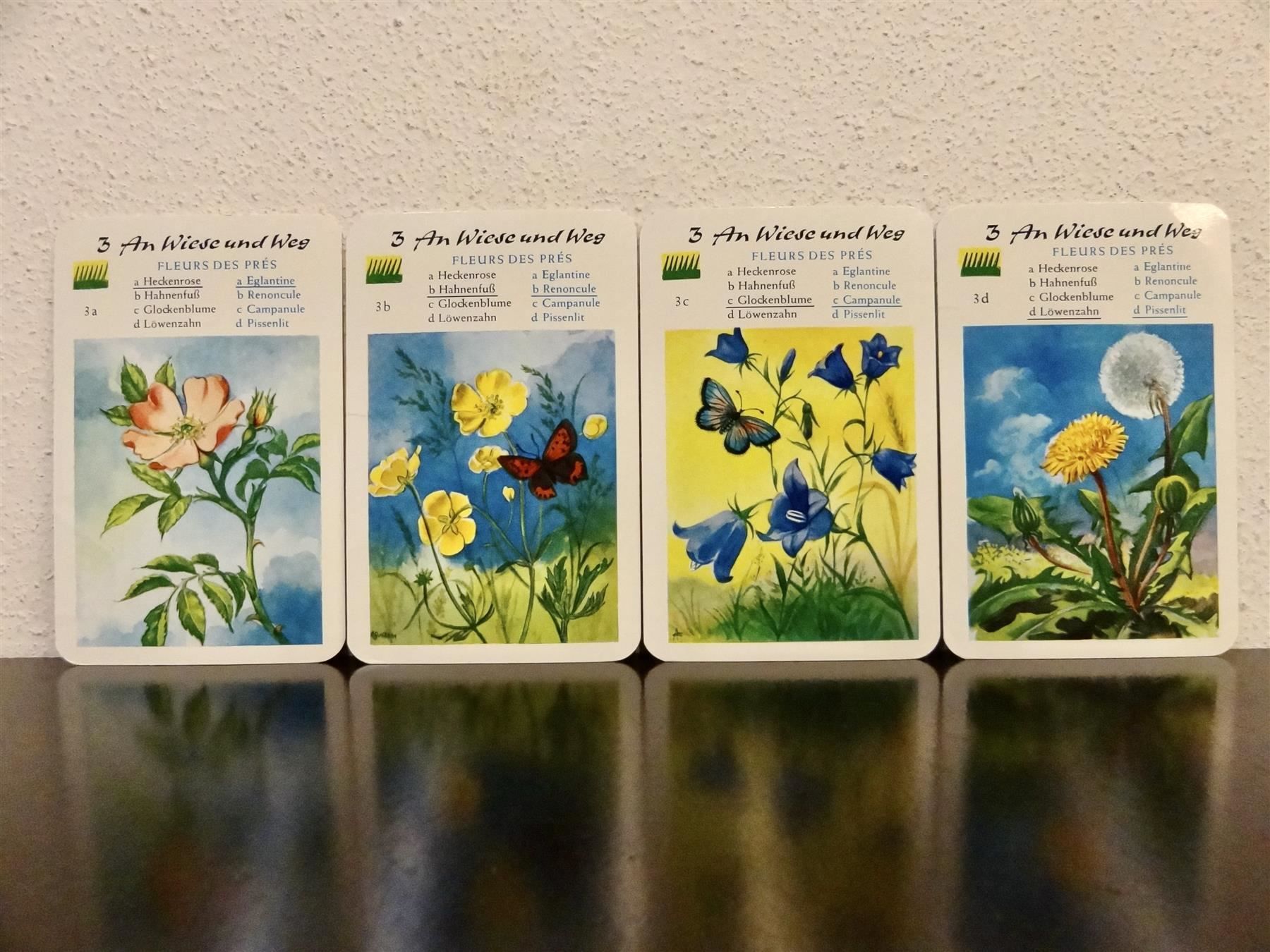 Spiele: altes Quartett BLUMEN-QUARTETT BLUMEN – Gebraucht aus Kerzers von wisaundso 5