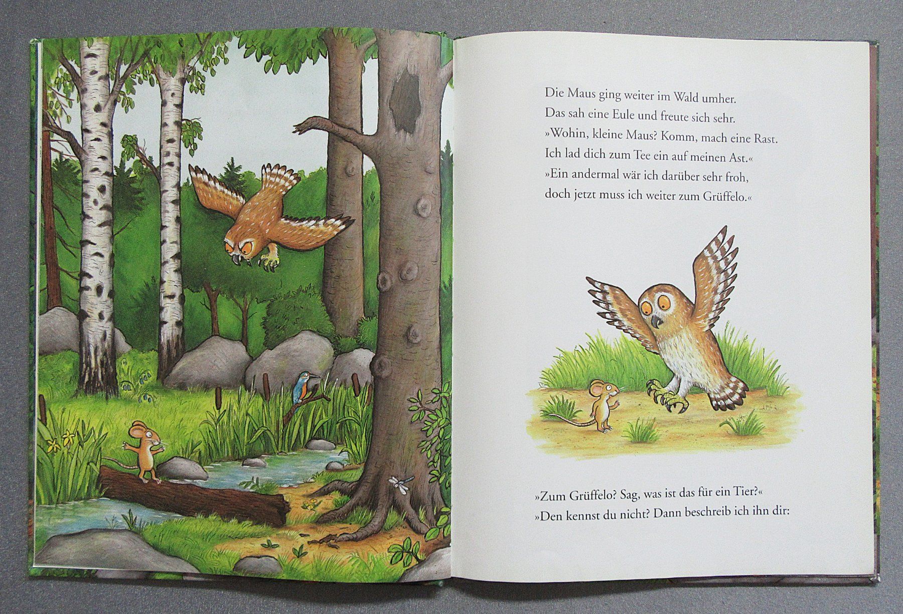 Libri: Der Grüffelo - Bilderbuch mit Bildern von Axel Scheffler – Usato da Auenstein venduto da Padabimbim 3