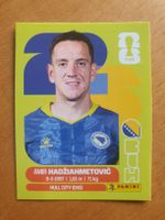 Panini WM 2026 BIH 8