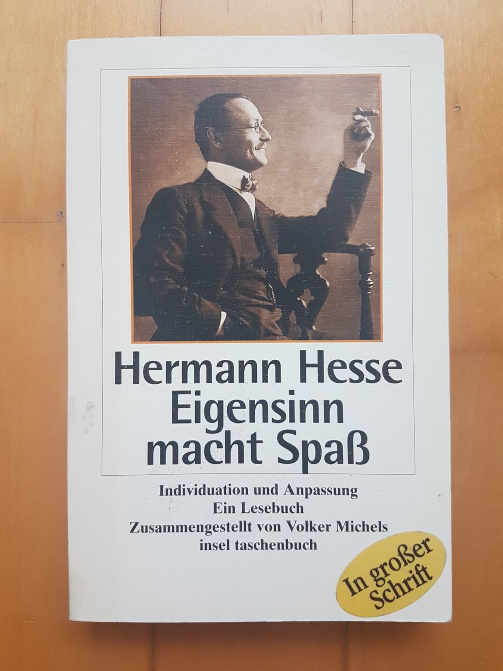 Libri: Hermann Hesse - Eigensinn macht Spass – Usato da Binz venduto da tarkrx