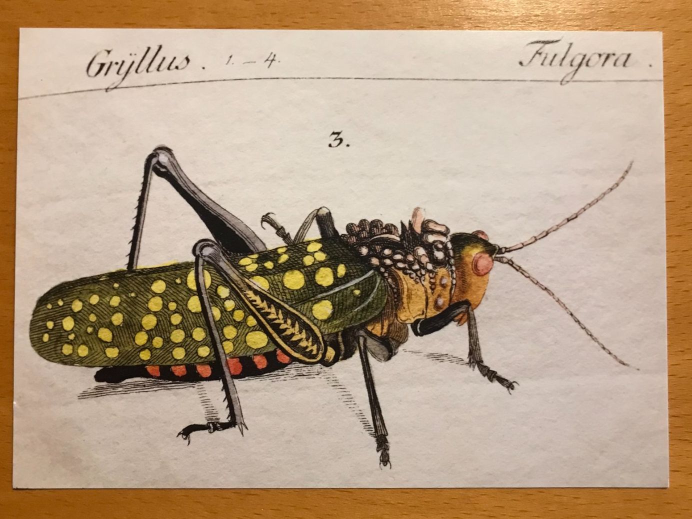 Cartoline postali: Grusskarte Grille – Usato da Luzern venduto da mey_s13