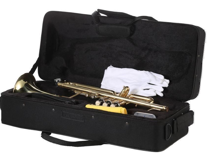 Strumenti musicali: Trompete Bb Flach Messing Gold-gemalt – Nuovo (secondo la descrizione) da Chur venduto da elektronikmarkt 1