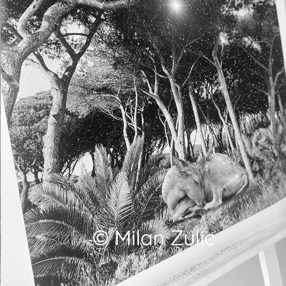 Foto & Immagini: Travel postcards 001 – Nuovo (secondo la descrizione) da Uetikon am See venduto da mil_7k2b 5