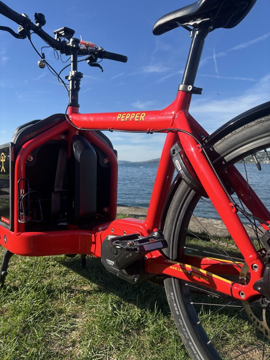 Biciclette: Cargobike E-Bullitt – Usato da horgen venduto da dude123 5