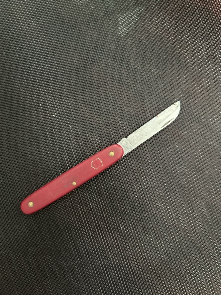 Victorinox Taschenmesser: Taschenmesser rot mit Emblem gebraucht – Gebraucht aus Thun von Ganesh03
