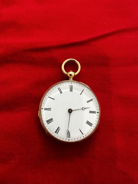 Bracelet Montre Lézard Marron foncé 20 mm – Le Comptoir De La Montre