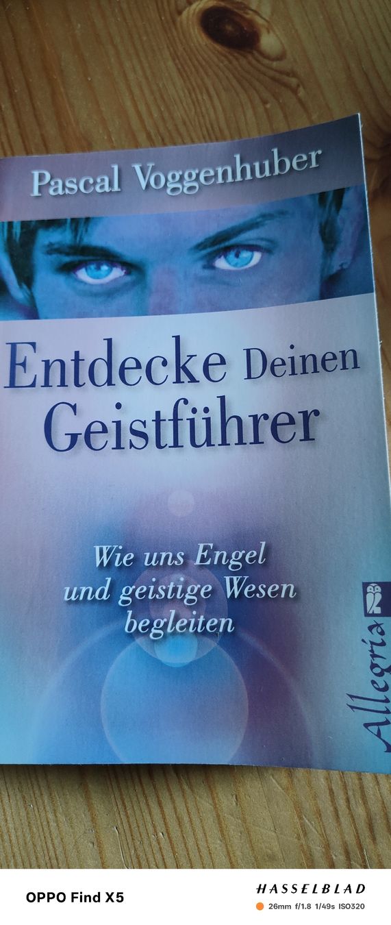 Bücher: Entdecke deinen Geistführer – Gebraucht aus Volken von katz5