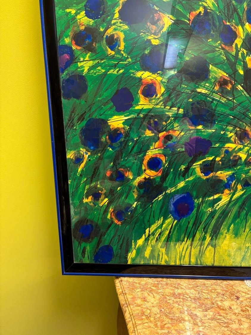 Foto & Immagini: Kunstdruck Pfau Alurahmen – Usato da Hindelbank venduto da brm_72zv 4