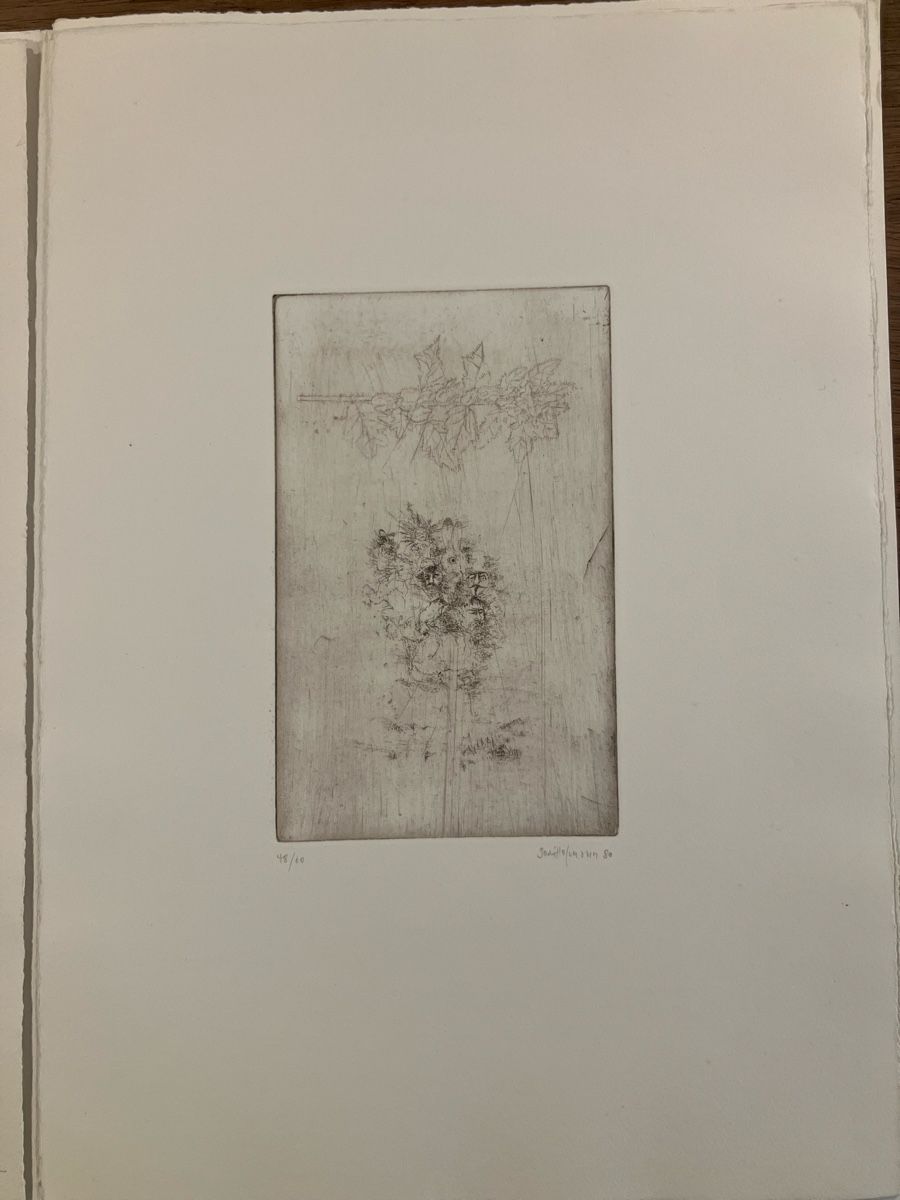 Incisioni: Godi HOFMANN - portfolio de 6 gravures – Usato da Lausanne venduto da Willandco 5