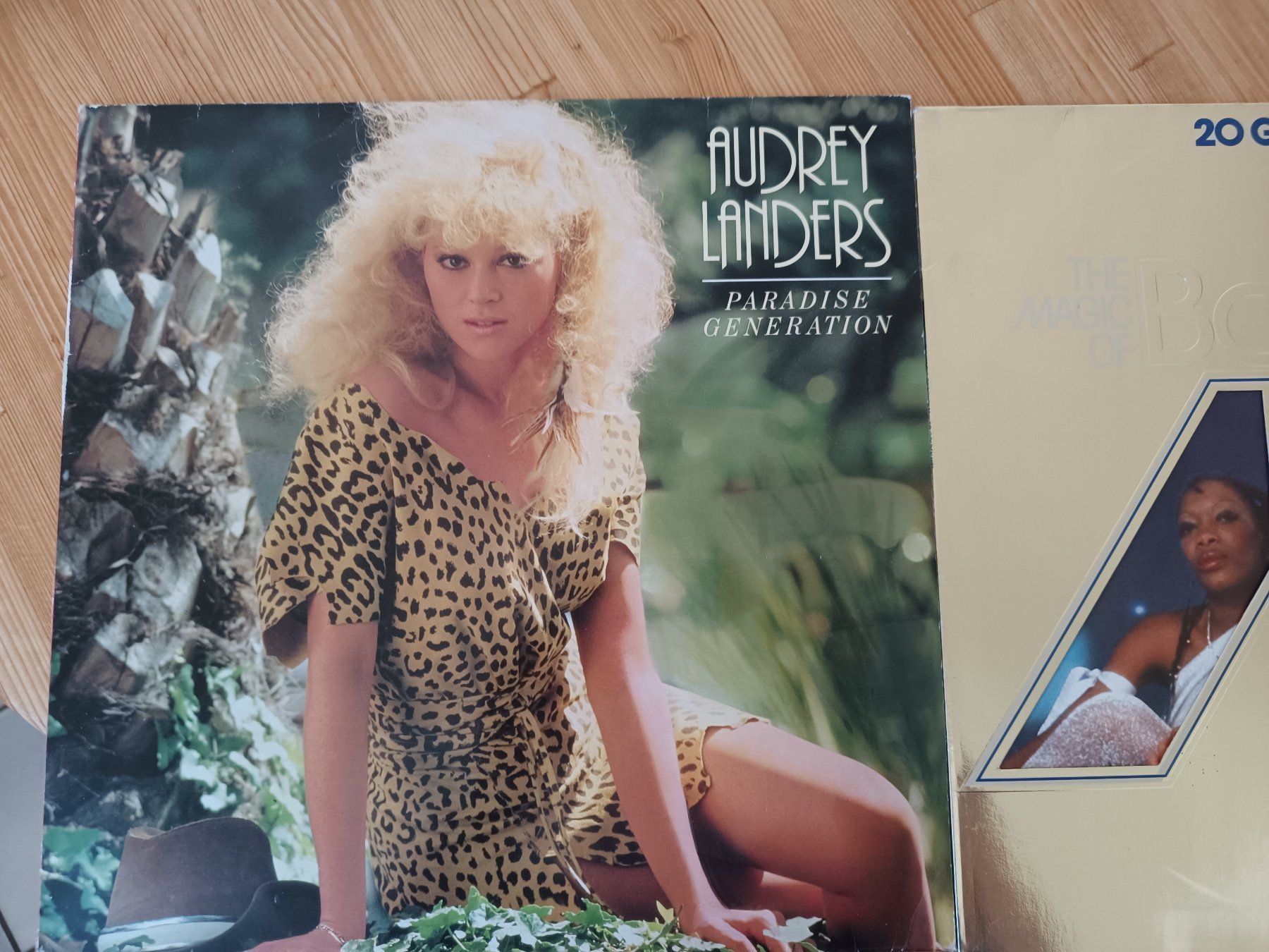 Dischi in vinile: Schallplatten Diverse  Stück – Usato da Münchwilen TG venduto da Gandalf126 1