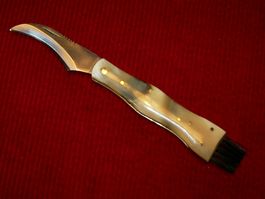 Pilzmesser, Edelstahlkl. mit Büffelhorngriff, Lederetui