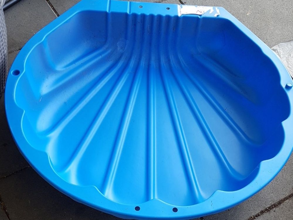 Halbe Muschel für Sand oder Wasser Kaufen auf Ricardo