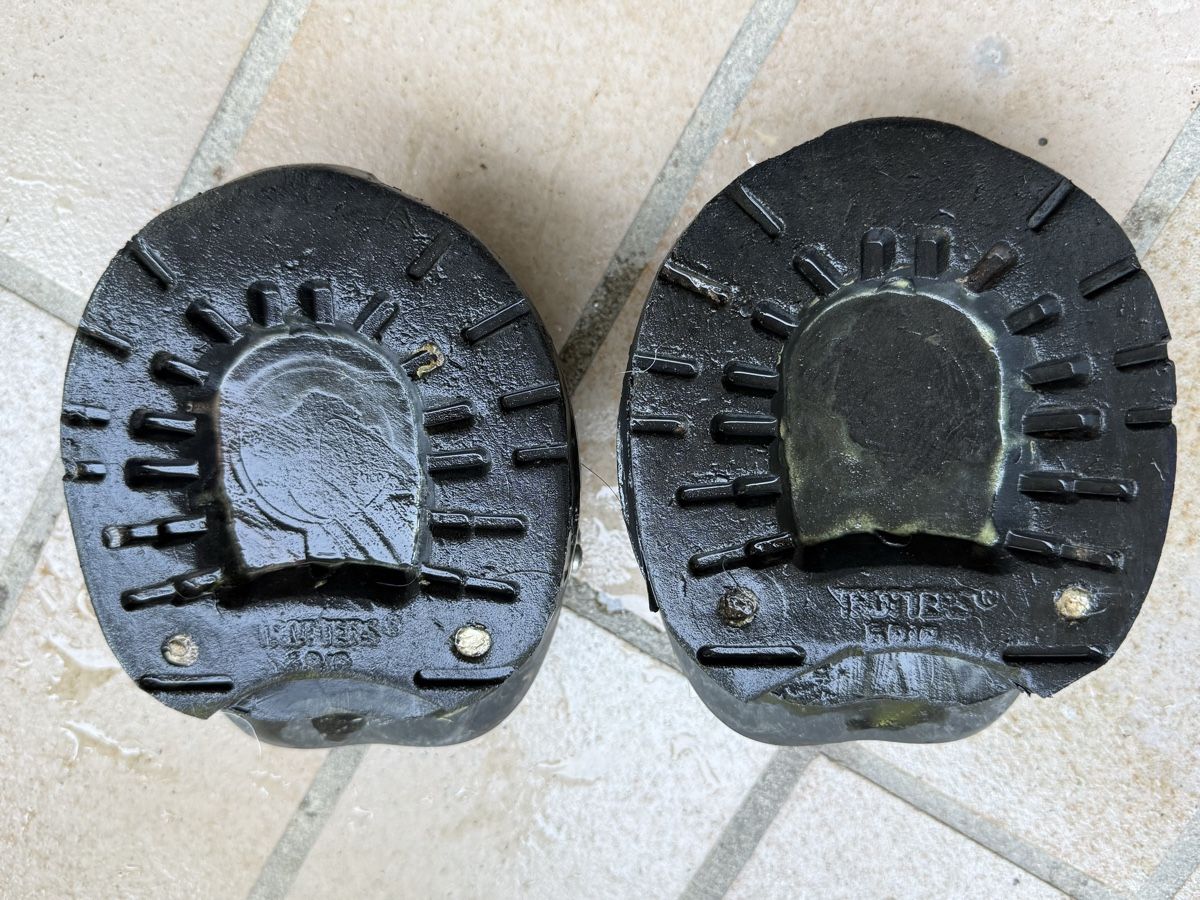 Scarpe per cavalli: Easyboot Epic #0 (Schalen) – Difettoso da Bad Zurzach venduto da Radesi 2