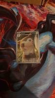 Carta Pokémon Furret 120 PS come nuova