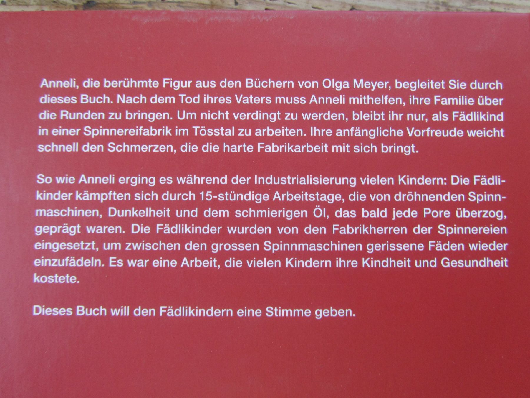 Libri: Bernadette Zemp:   FÄDLIKINDER / Schweizer Geschichte – Usato da Seengen venduto da mikelele 5