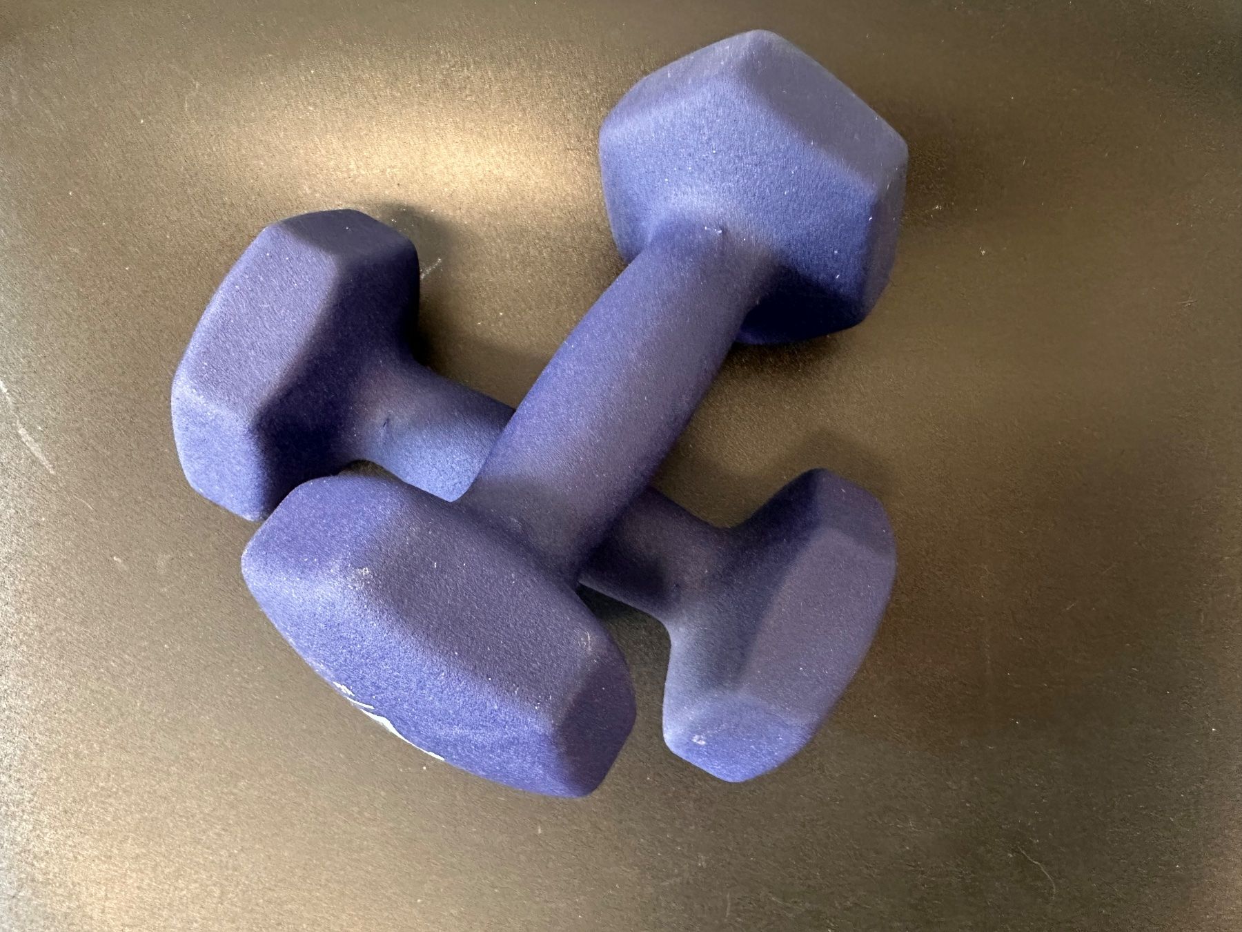 Manubri & Pesi: Verstellbare Hanteln (Set) – Usato da Frick venduto da itt_rf2m 4
