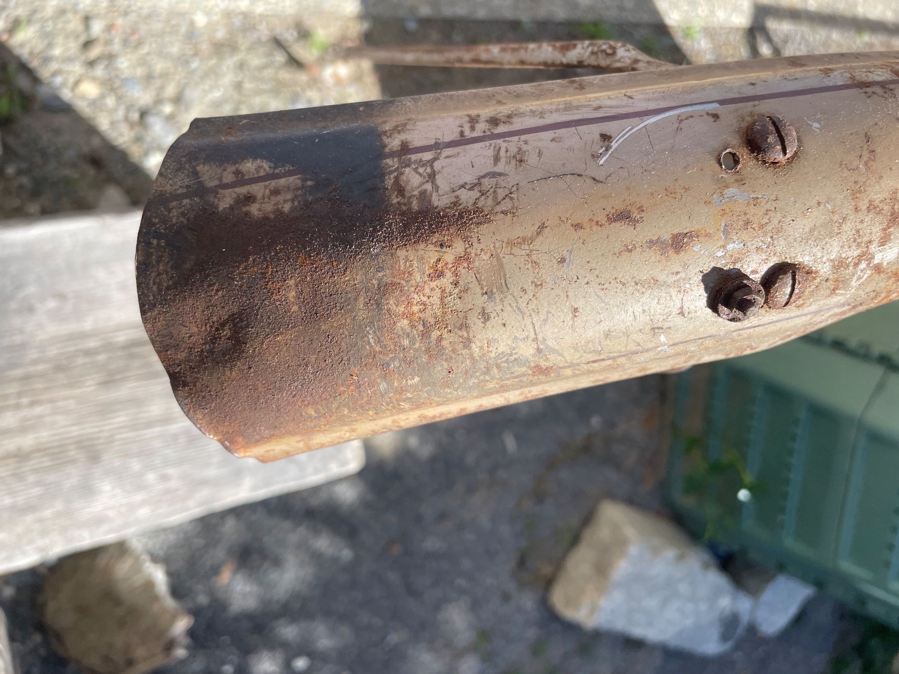 Mofas: Rex Mofa. – Gebraucht aus Leytron von ACLEONARD01 3
