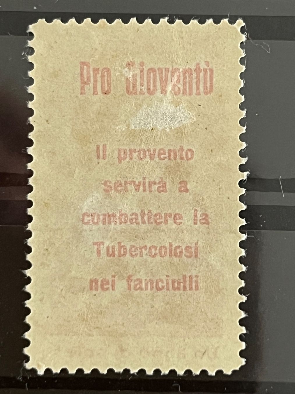 Tutti i francobolli: Pro Juventute Vorläufer, italienisch, ** – Usato da Romanshorn venduto da luxcollect 1