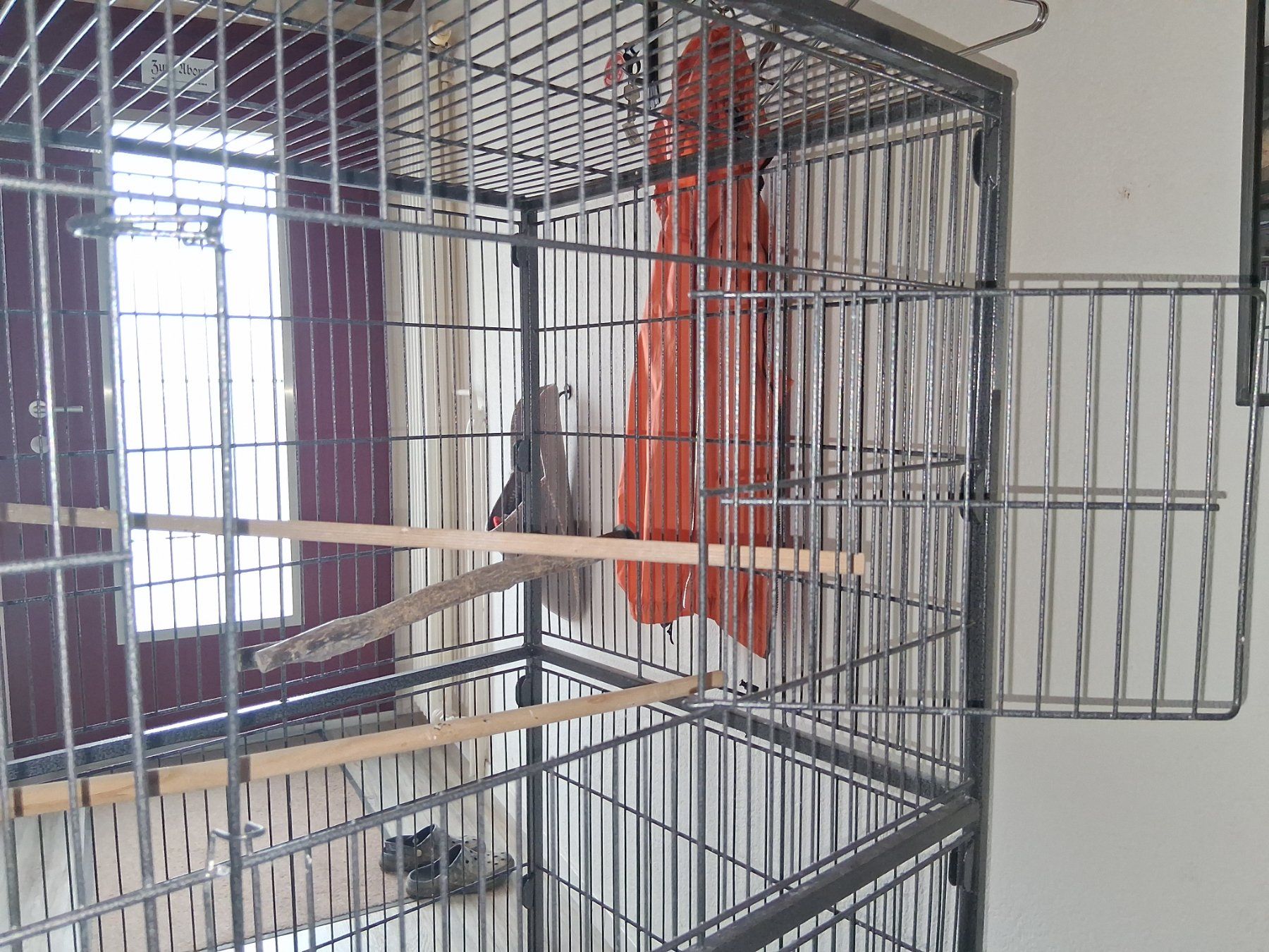 Gabbie, trasporto & Sicurezza: Vogelvoliere auf Rollen – Usato da Erlen venduto da Katzenjimmy2 5